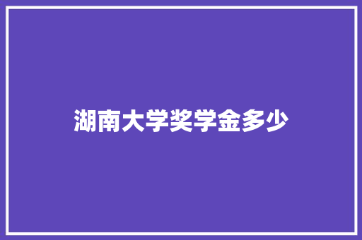 湖南大学奖学金多少
