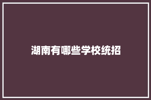 湖南有哪些学校统招