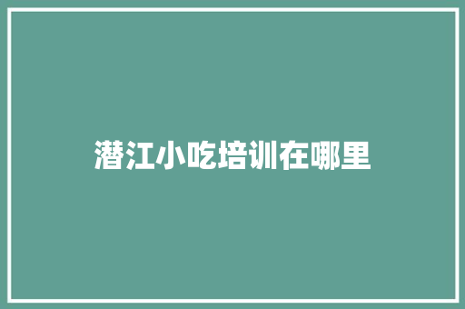 潜江小吃培训在哪里
