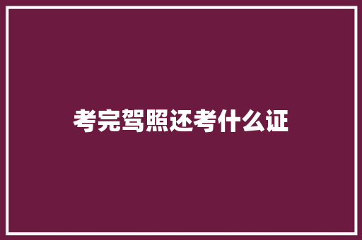 考完驾照还考什么证