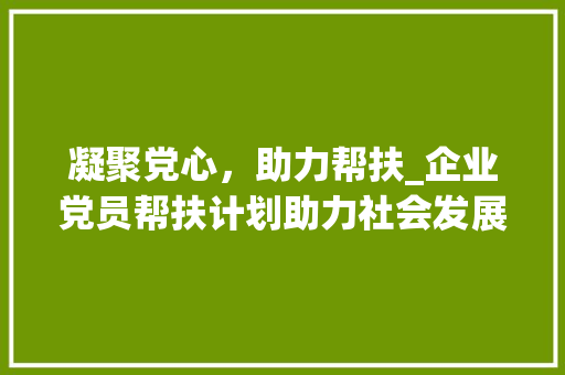 凝聚党心，助力帮扶_企业党员帮扶计划助力社会发展