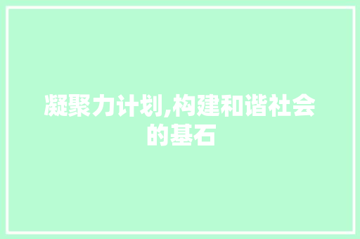 凝聚力计划,构建和谐社会的基石