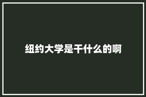 纽约大学是干什么的啊