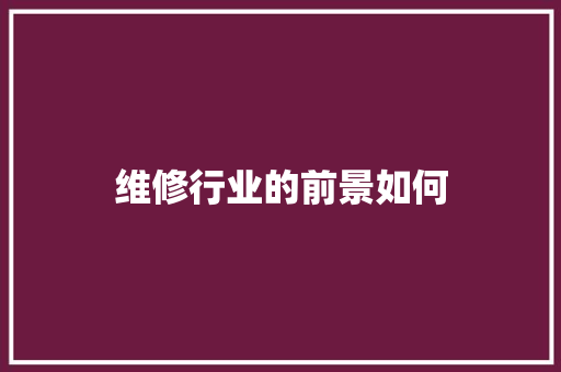 维修行业的前景如何