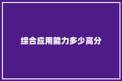 综合应用能力多少高分