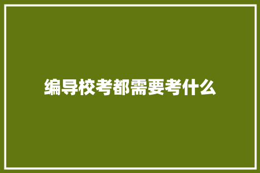编导校考都需要考什么