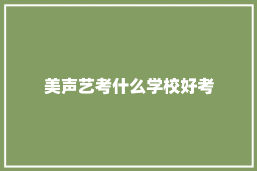 美声艺考什么学校好考
