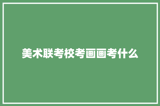 美术联考校考画画考什么