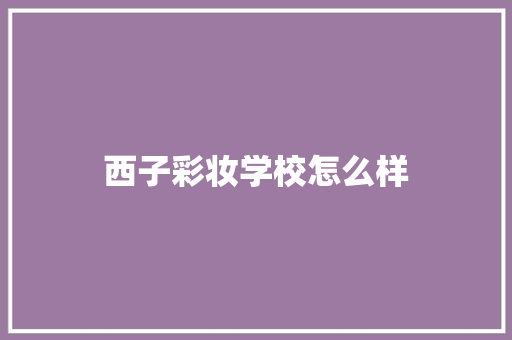 西子彩妆学校怎么样