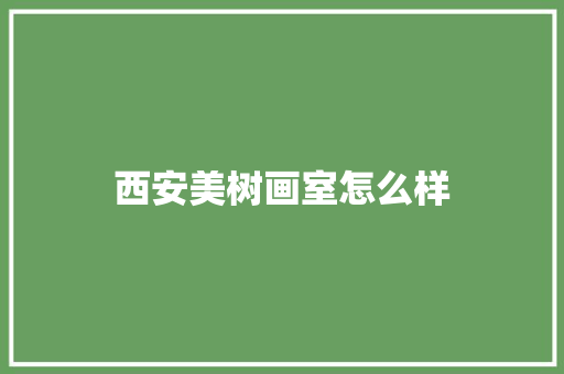 西安美树画室怎么样