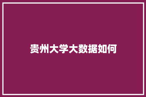 贵州大学大数据如何