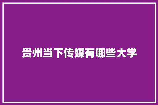 贵州当下传媒有哪些大学