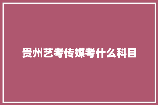 贵州艺考传媒考什么科目