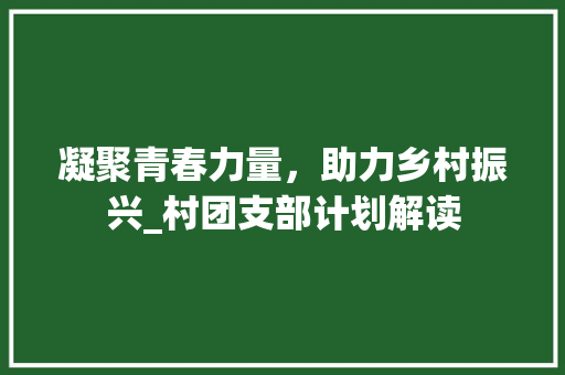 凝聚青春力量，助力乡村振兴_村团支部计划解读