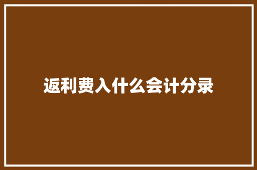 返利费入什么会计分录