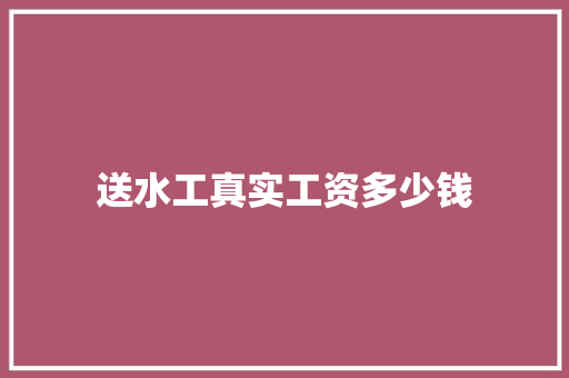 送水工真实工资多少钱