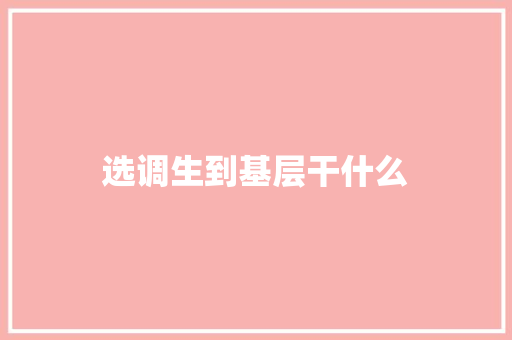 选调生到基层干什么