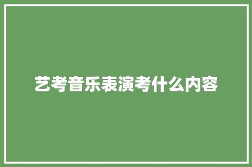 艺考音乐表演考什么内容