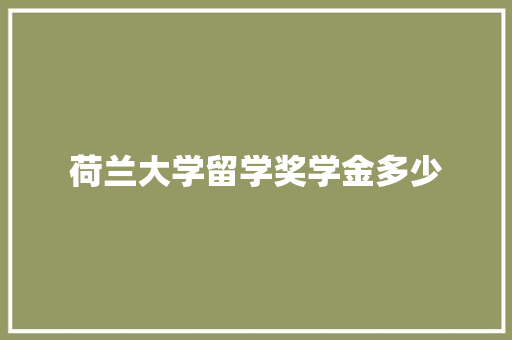 荷兰大学留学奖学金多少