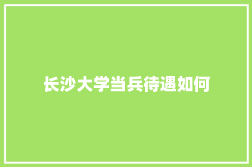 长沙大学当兵待遇如何