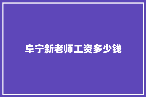 阜宁新老师工资多少钱
