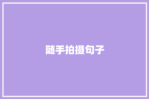 随手拍摄句子