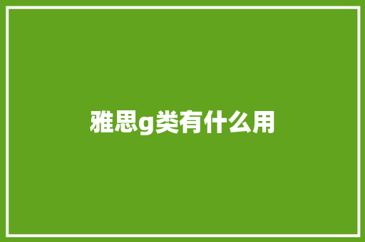 雅思g类有什么用