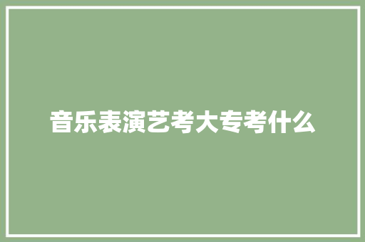 音乐表演艺考大专考什么