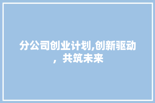 分公司创业计划,创新驱动，共筑未来