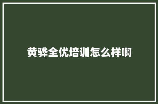 黄骅全优培训怎么样啊