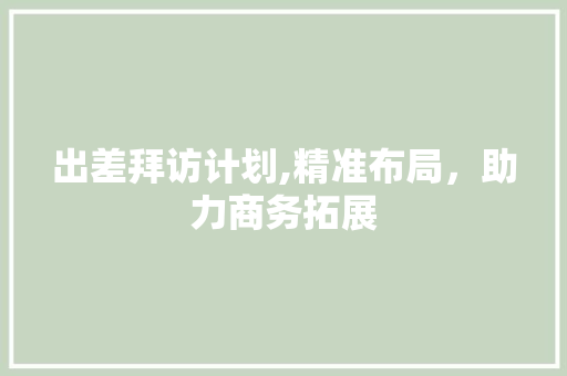 出差拜访计划,精准布局，助力商务拓展