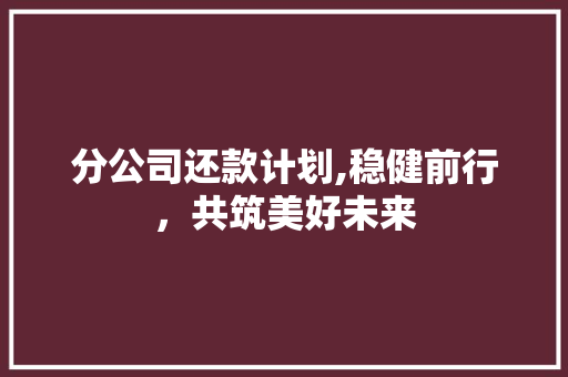 分公司还款计划,稳健前行，共筑美好未来