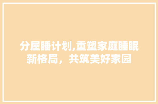 分屋睡计划,重塑家庭睡眠新格局，共筑美好家园