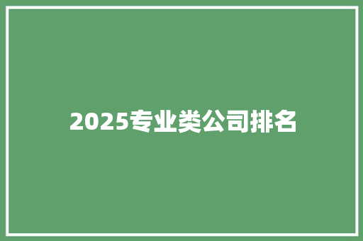 2025专业类公司排名