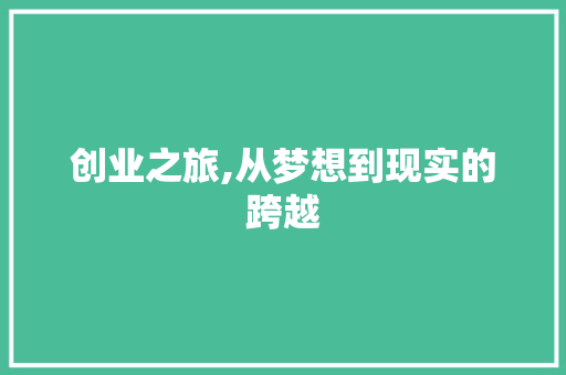 创业之旅,从梦想到现实的跨越