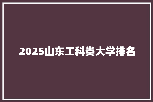2025山东工科类大学排名
