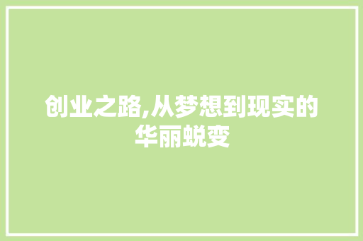 创业之路,从梦想到现实的华丽蜕变
