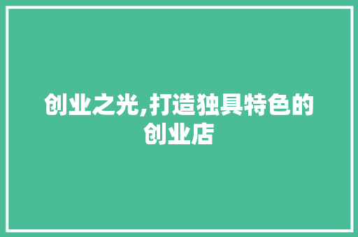 创业之光,打造独具特色的创业店