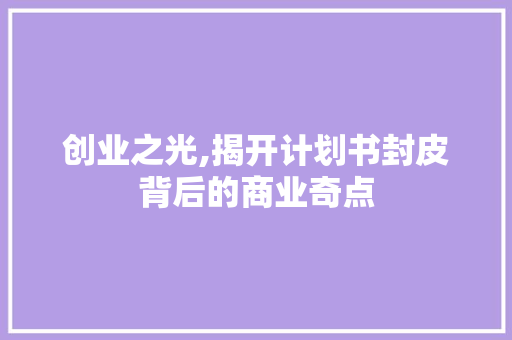 创业之光,揭开计划书封皮背后的商业奇点