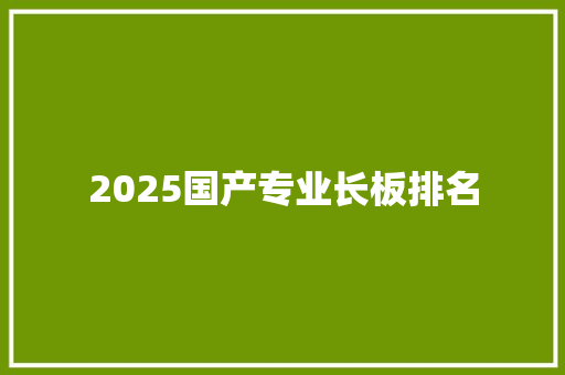 2025国产专业长板排名