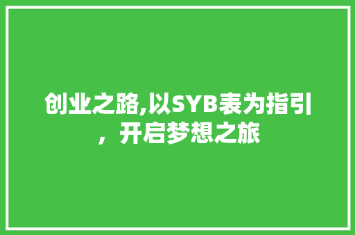 创业之路,以SYB表为指引，开启梦想之旅