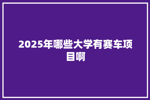 2025年哪些大学有赛车项目啊