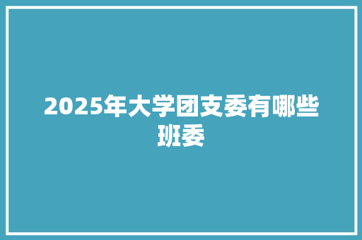 2025年大学团支委有哪些班委