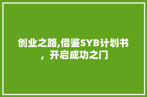 创业之路,借鉴SYB计划书，开启成功之门