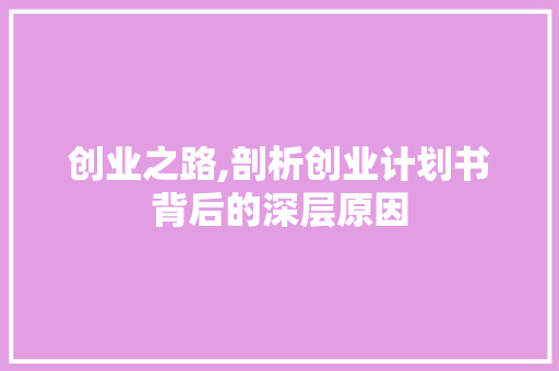 创业之路,剖析创业计划书背后的深层原因