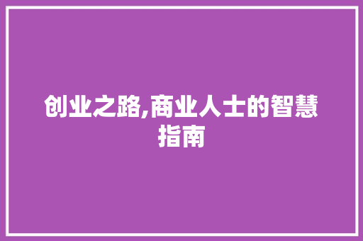 创业之路,商业人士的智慧指南