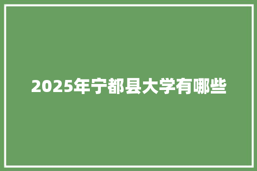 2025年宁都县大学有哪些