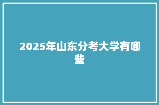 2025年山东分考大学有哪些