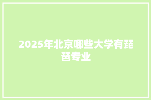 2025年北京哪些大学有琵琶专业