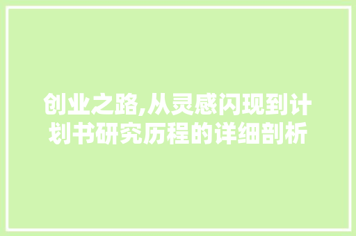 创业之路,从灵感闪现到计划书研究历程的详细剖析